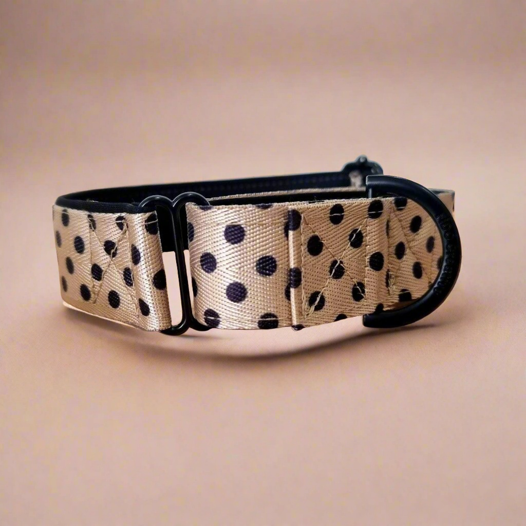 Spotty martingale dog collar 
