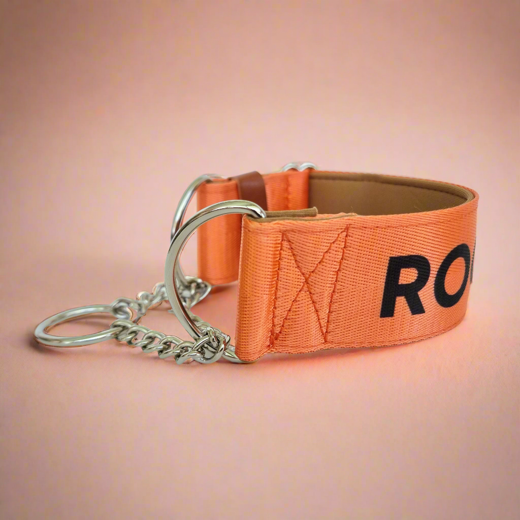 Chain dog collar with name
