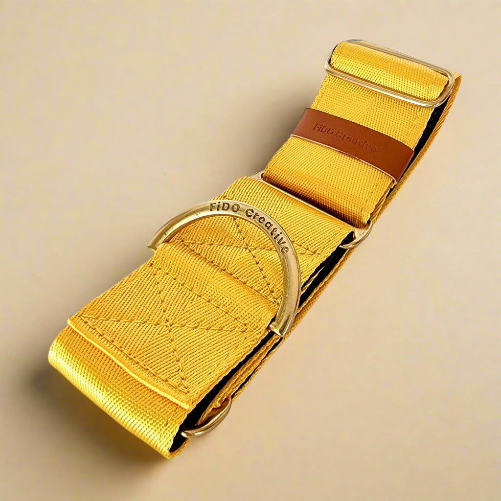 Yellow martingale dog collar 