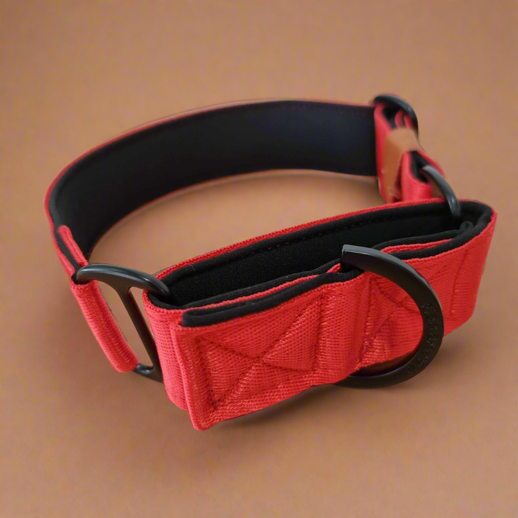 Red Martingale Dog Collar – Padded, personalised with Dog’s Name Optional