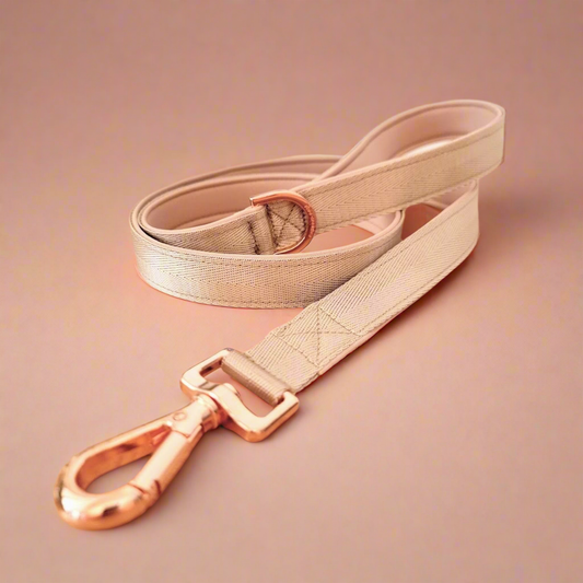 Beige dog leash - neoprene padded
