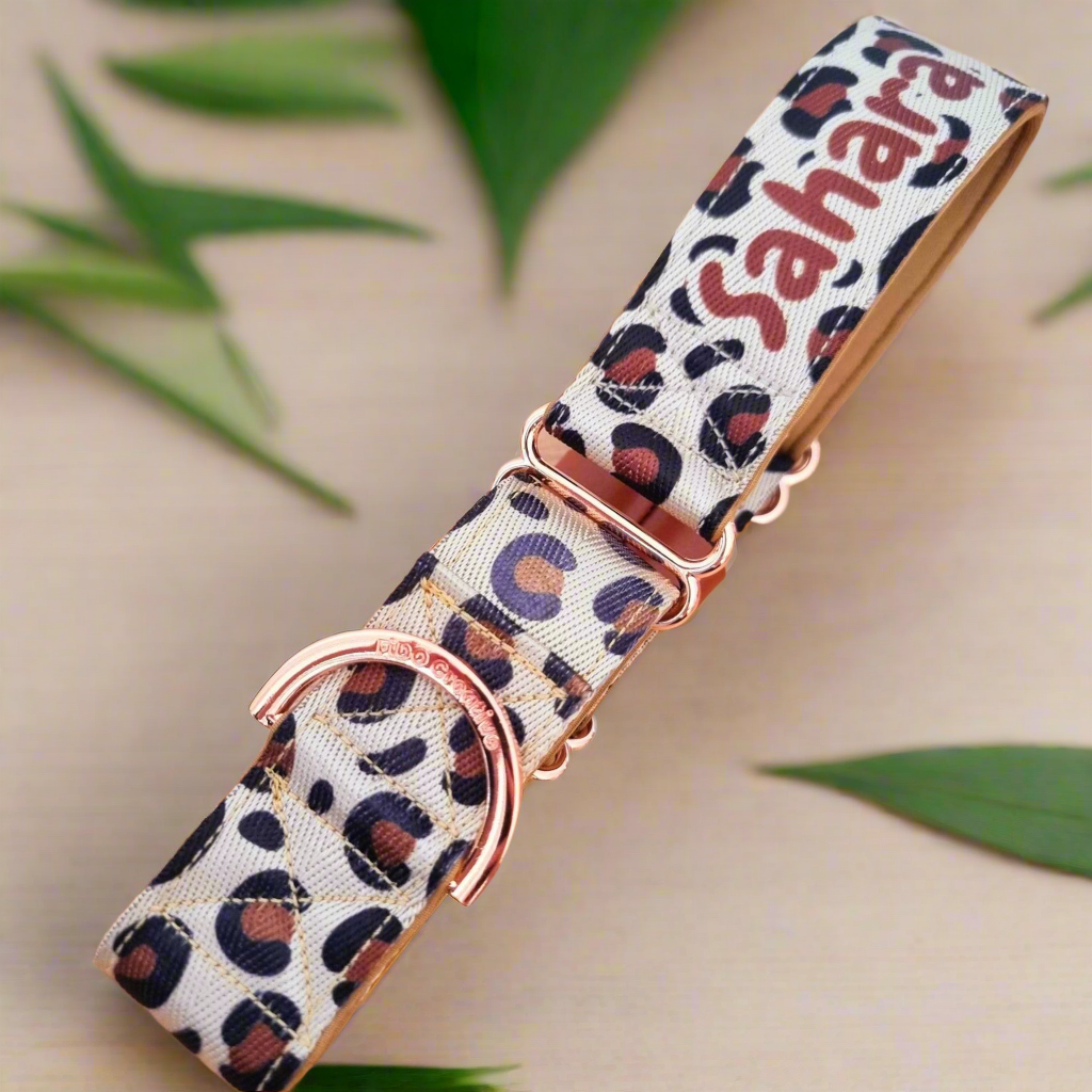 Name dog Collar with leopard print
