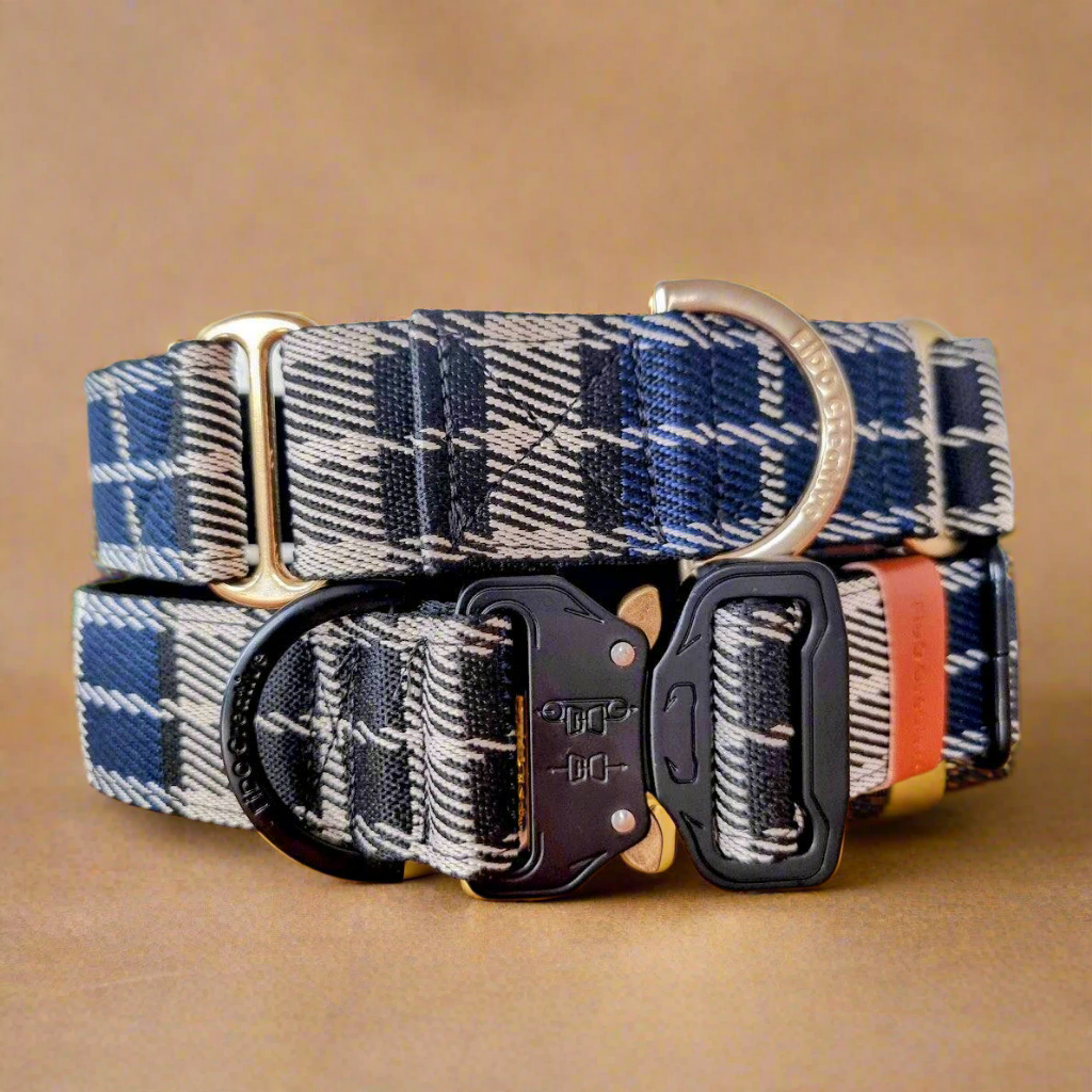 Blue plaid jacquard buckle dog collar - neoprene padded - 38mm