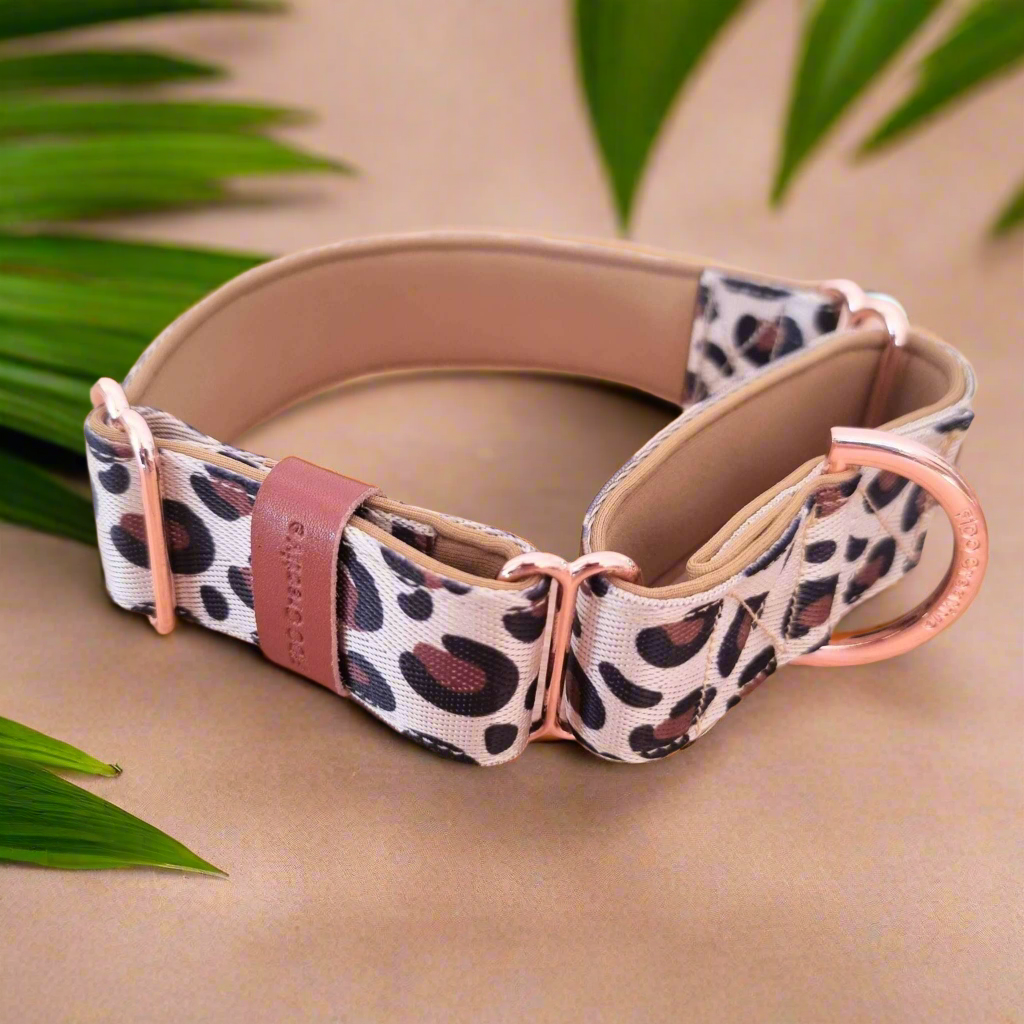 Leopard martingale collar