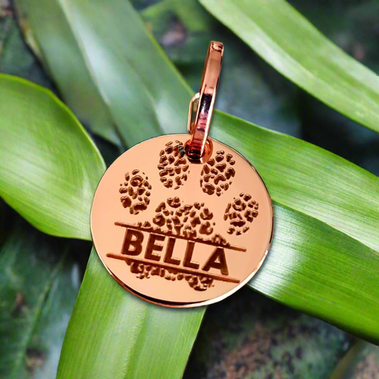 Dog name ID tag - Wild Paw