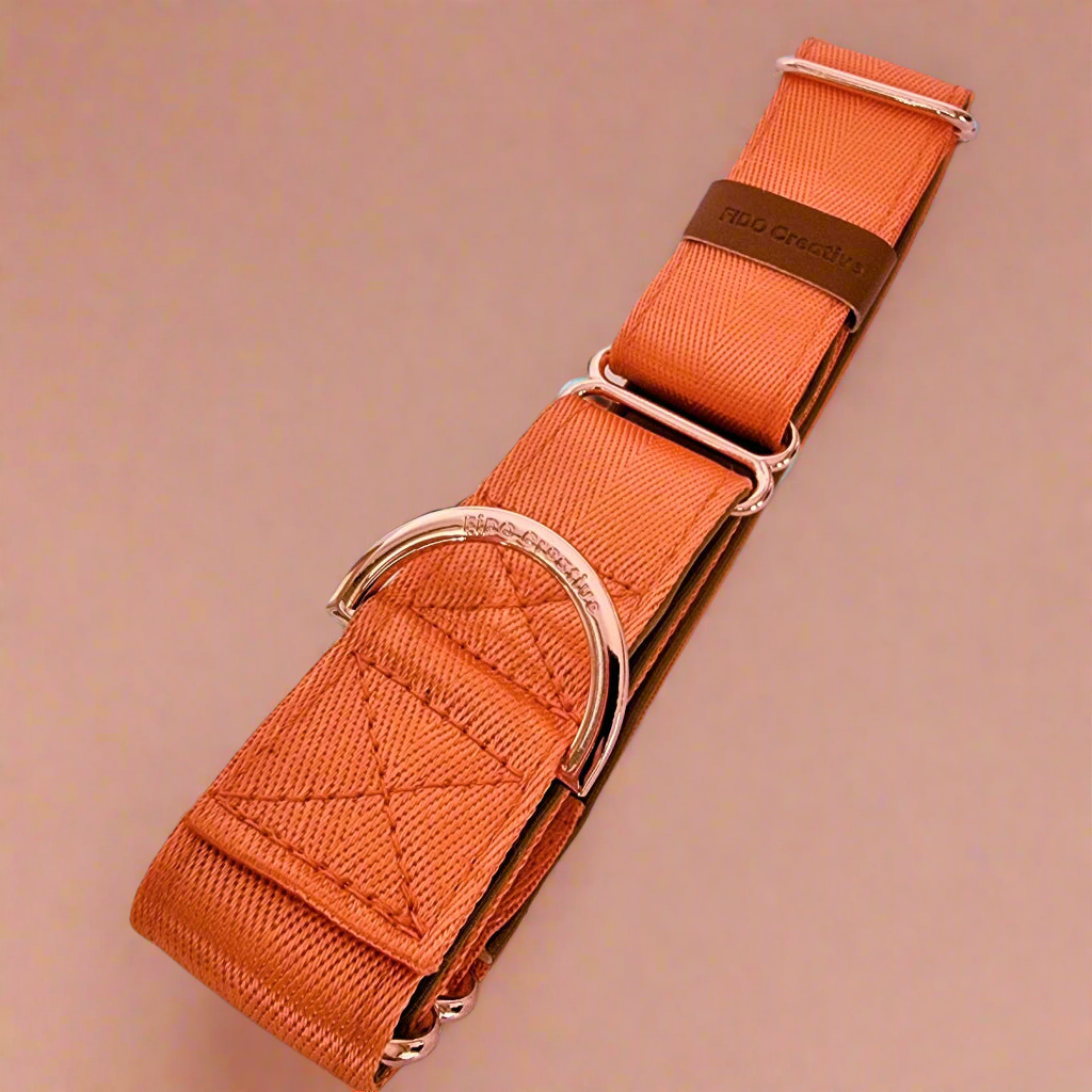Orange martingale Collar 