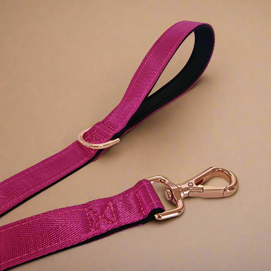 Pink Dog Leash - Neoprene Padded