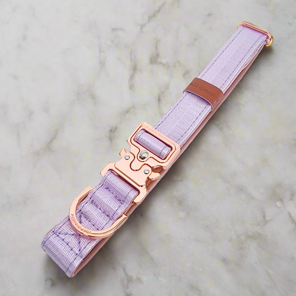 Lilac purple dog collar