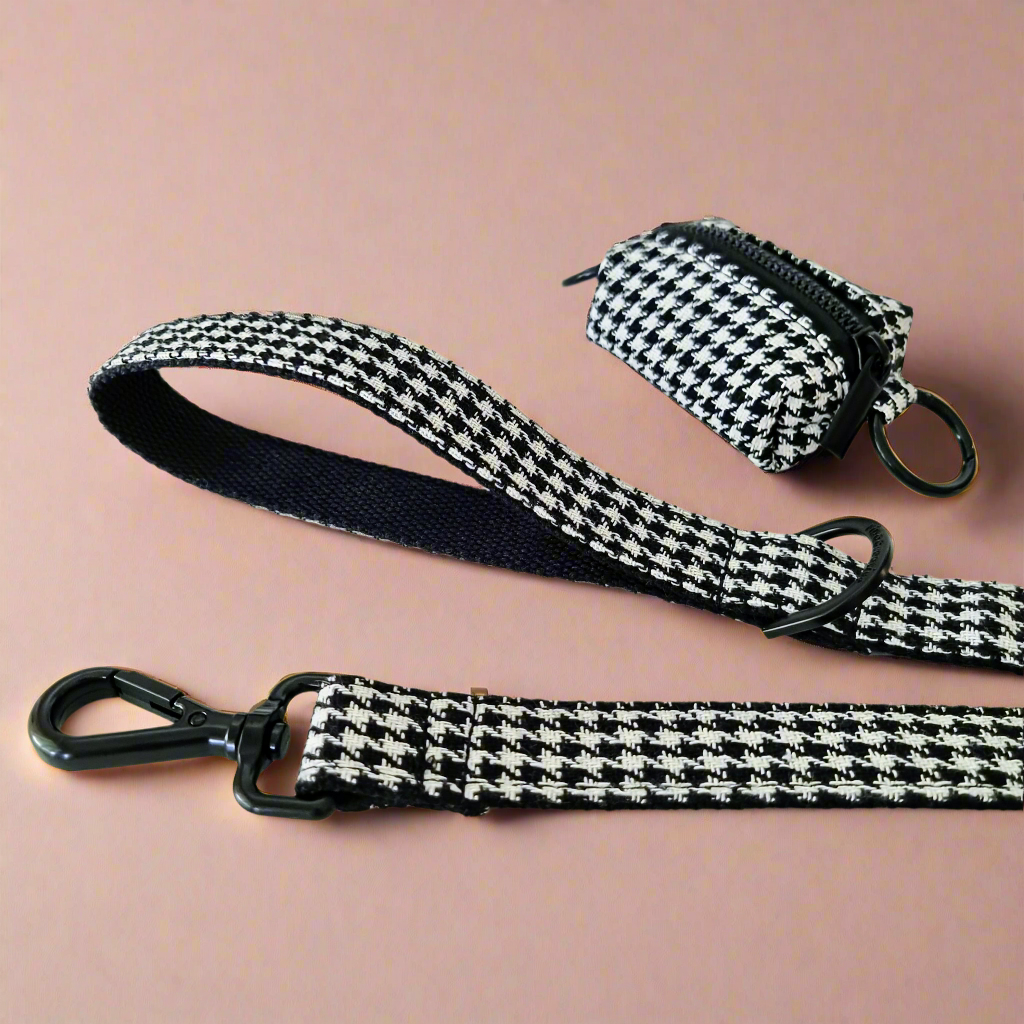 Black and white dog accessories 