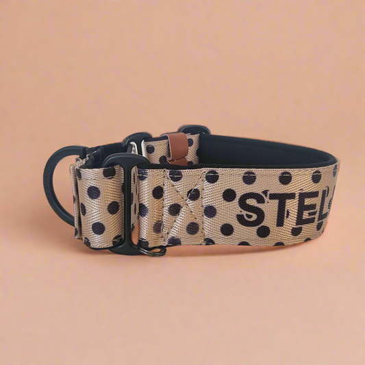Polka dot Martingale Dog Collar – Padded, personalised with Dog’s Name Optional