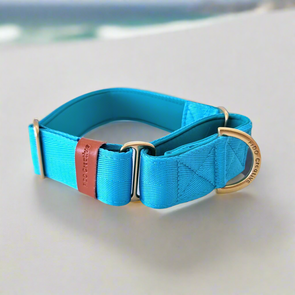 Blue greyhound collar