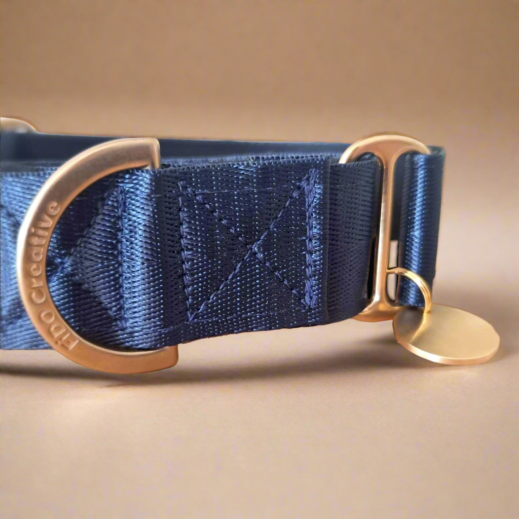 Navy and solid brass martingale collar 