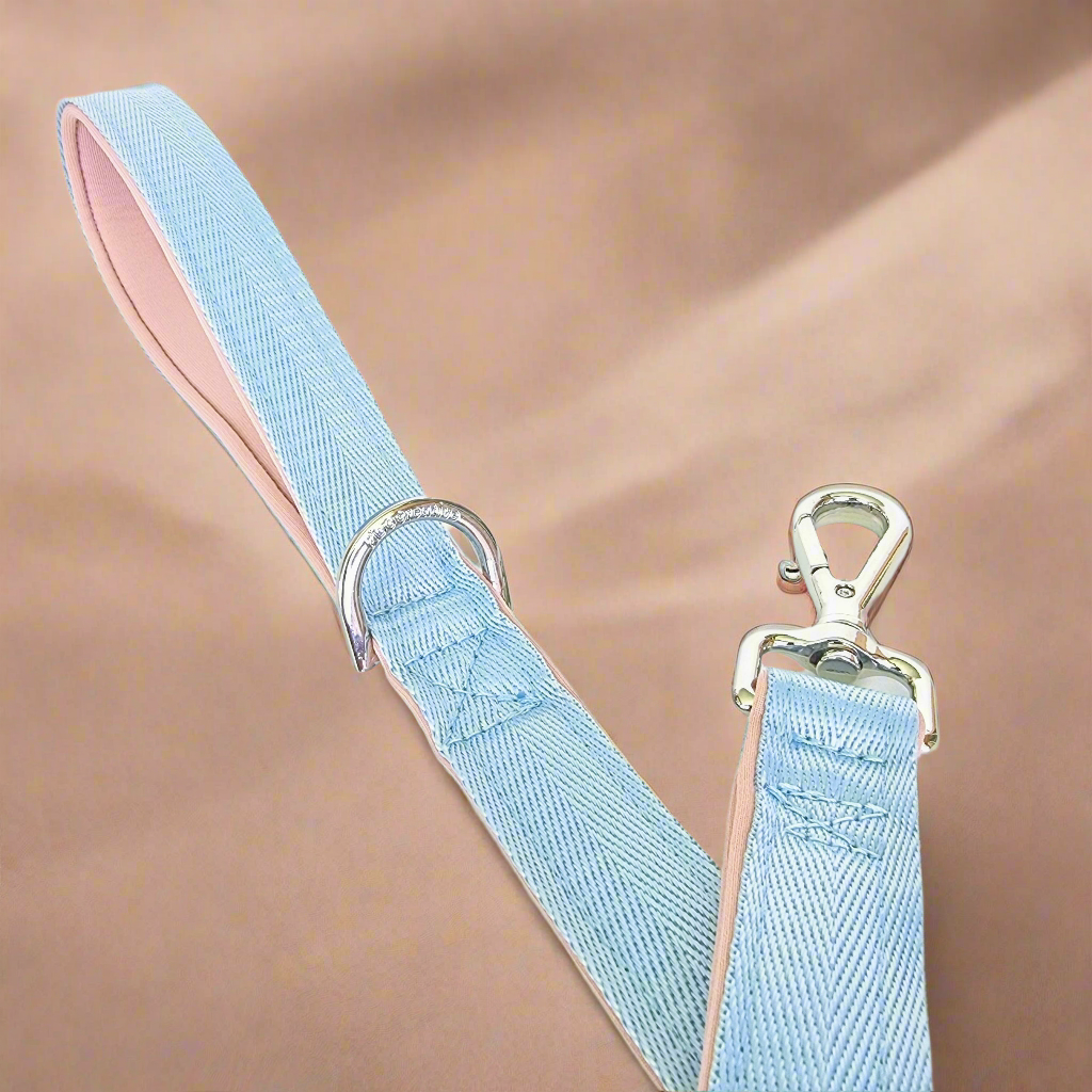 Baby Blue Dog Leash - Neoprene Padded