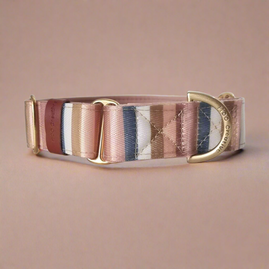 Fashionable martingale dog collar