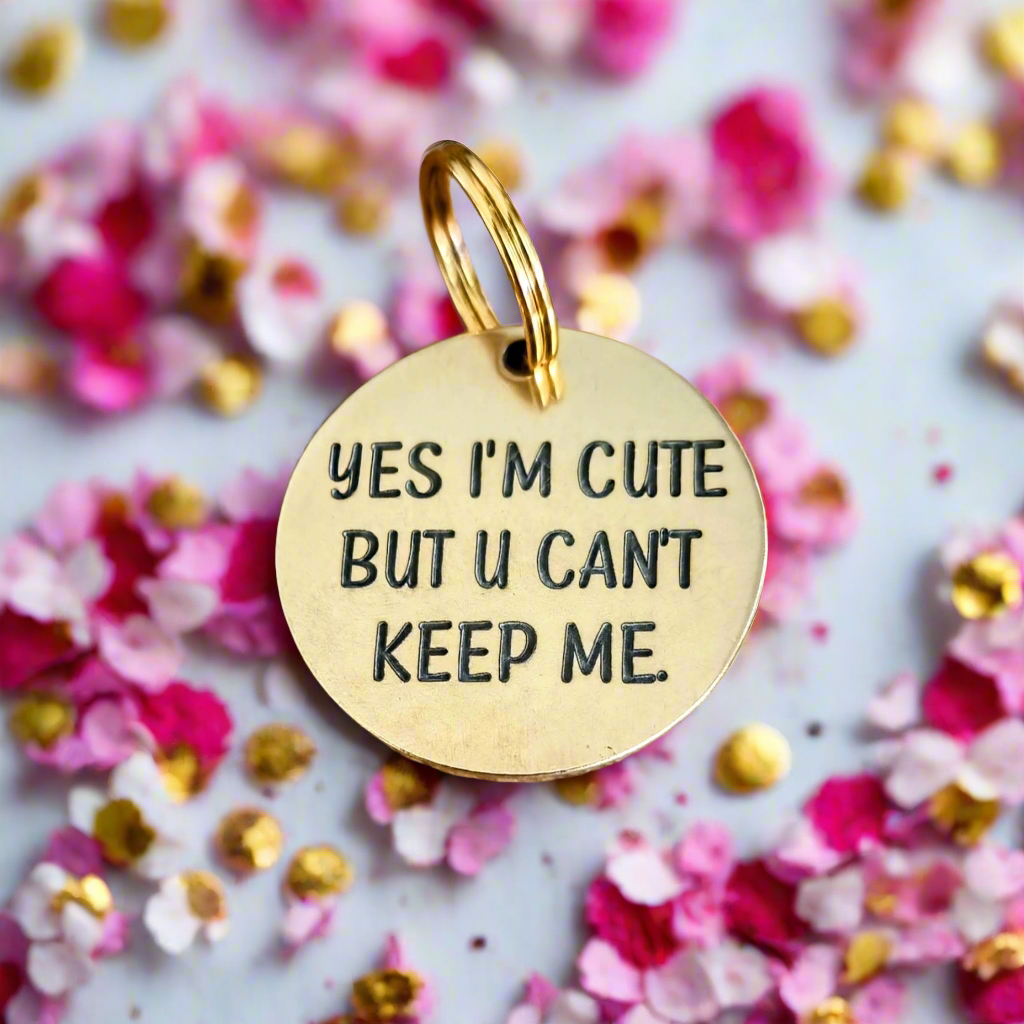 30mm Pet ID Tag - Yes Im cute