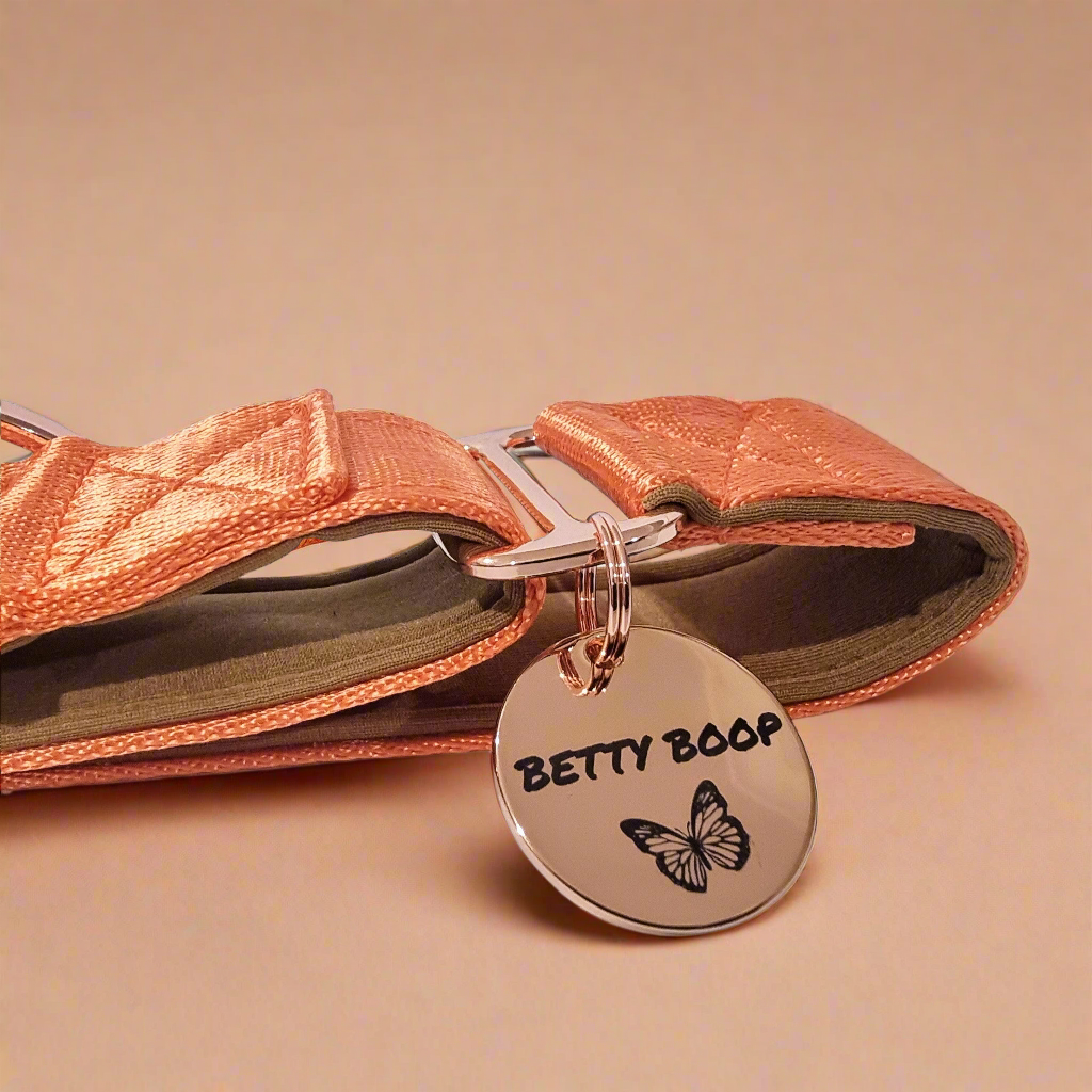 Personalised dog collar Orange 