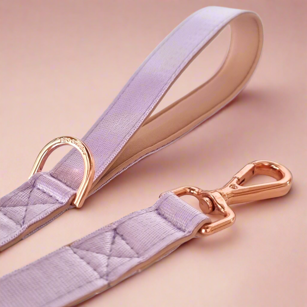 Lilac dreams dog leash - Neoprene Padded