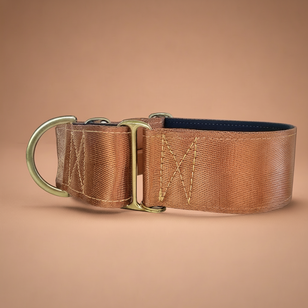 Brown Martingale Dog Collar – Padded, personalised with Dog’s Name Optional, Solid Brass as standard