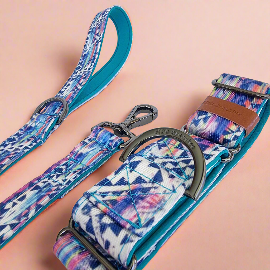Bright martingale dog collar and leash set