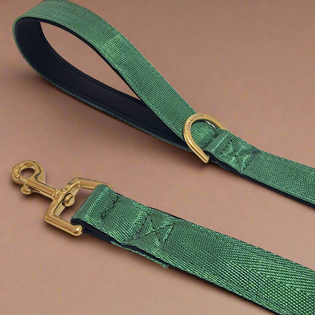 Green Dog Leash - Neoprene Padded