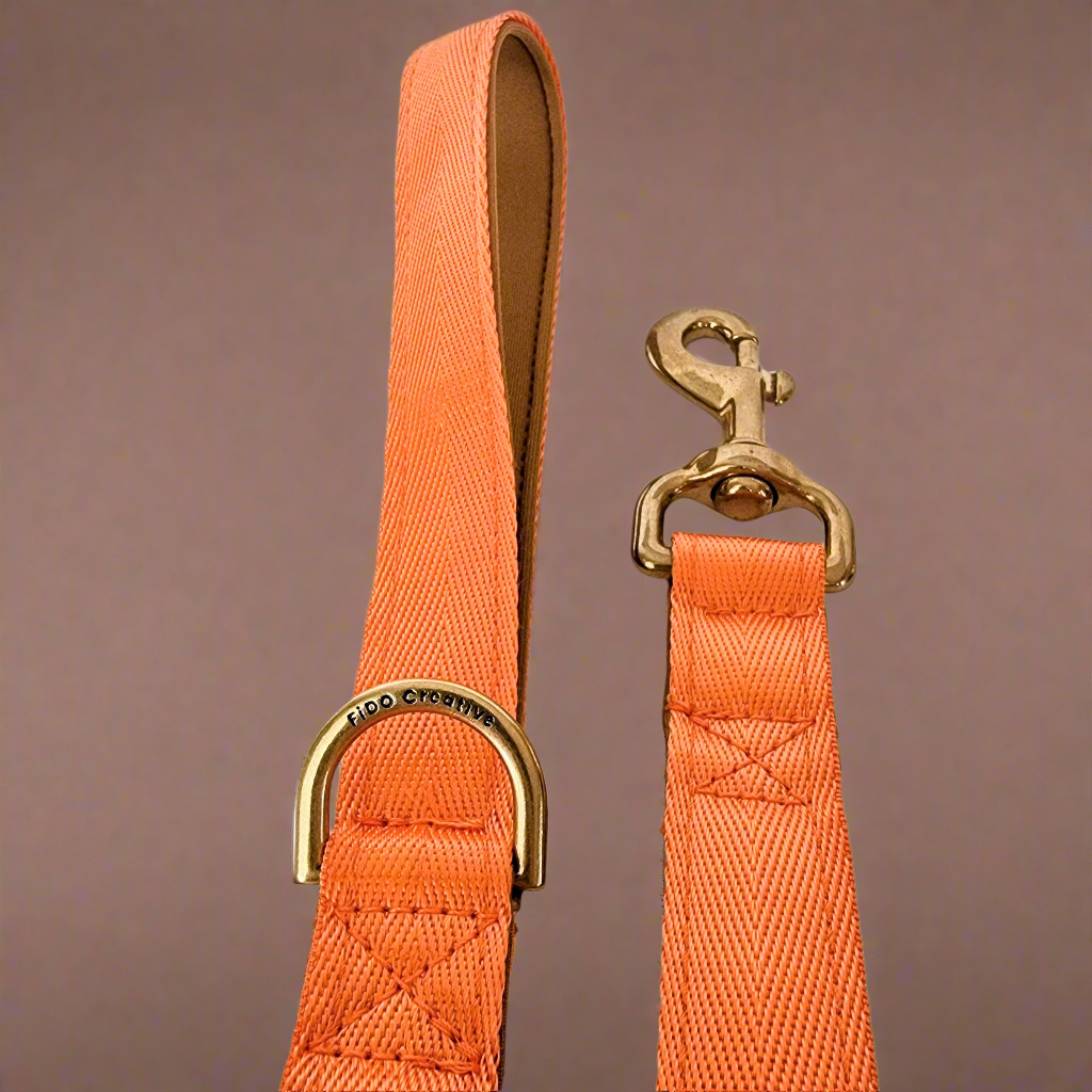 Dog leash with padded handle