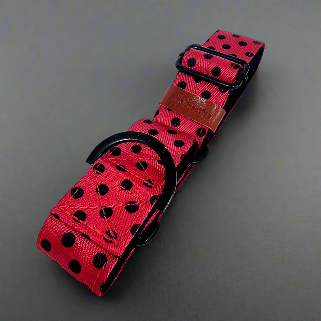 Red dot martingale dog collar 
