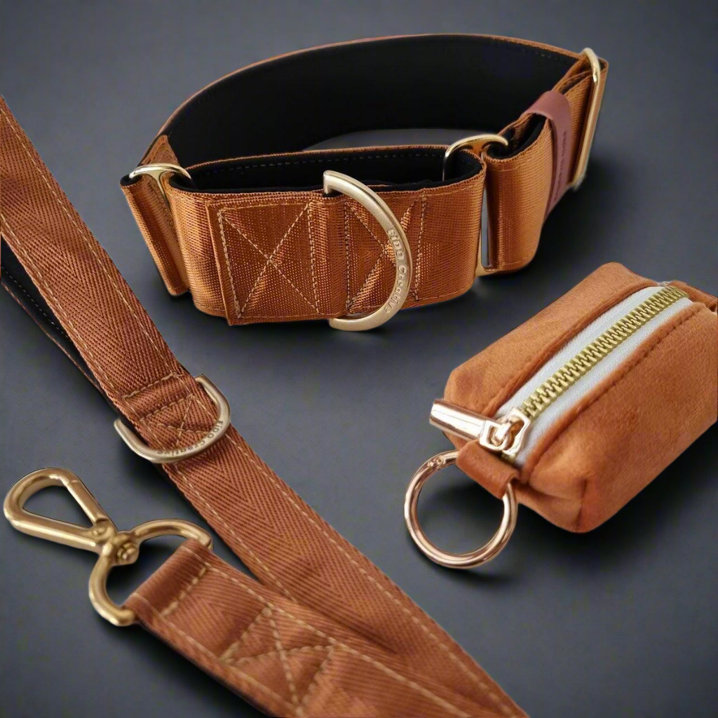 Brown whippet collar and leash 
