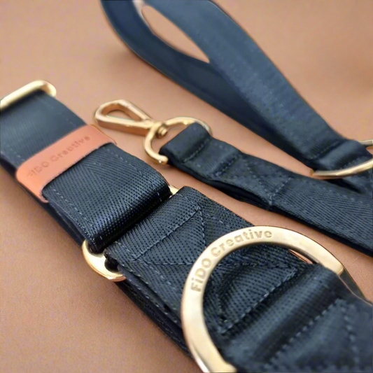 black martingale dog collar