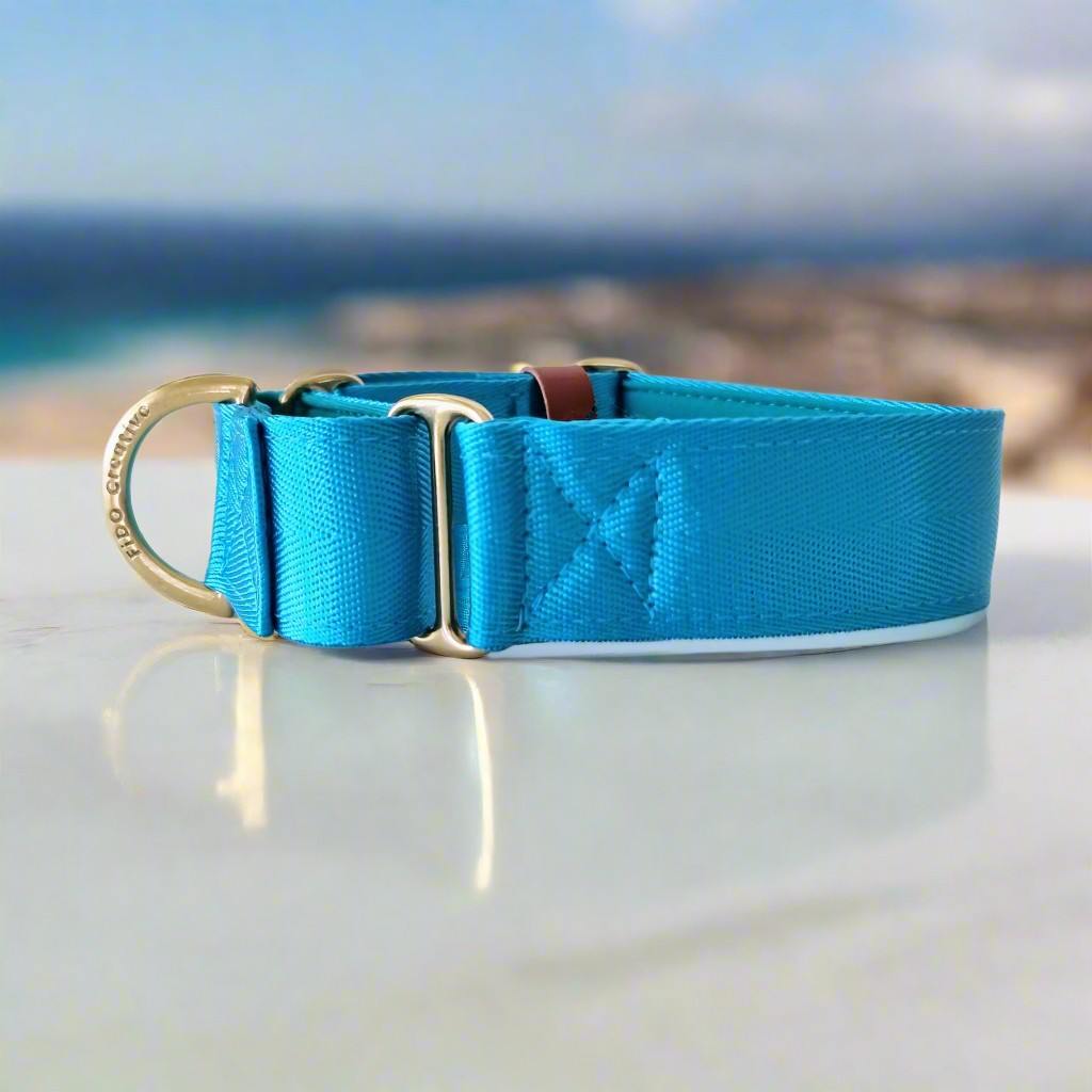 Bright Blue martingale dog collar 