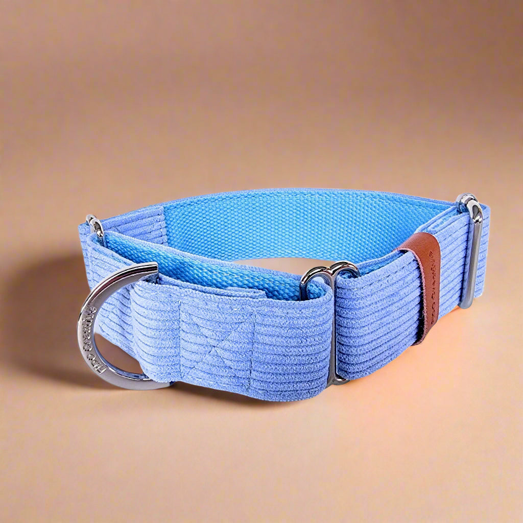 Blue Corduroy Martingale Dog collar