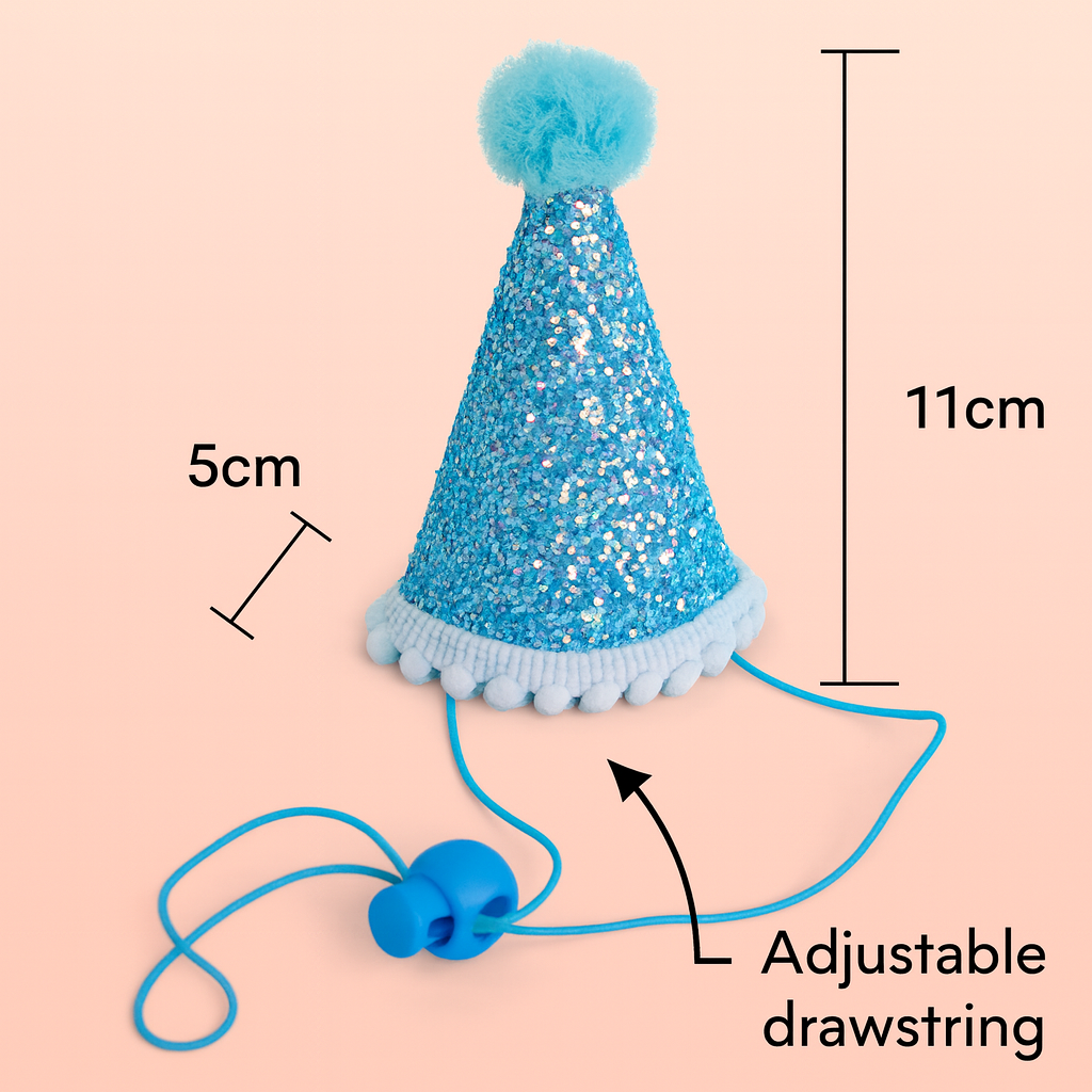 Dog birthday hat party