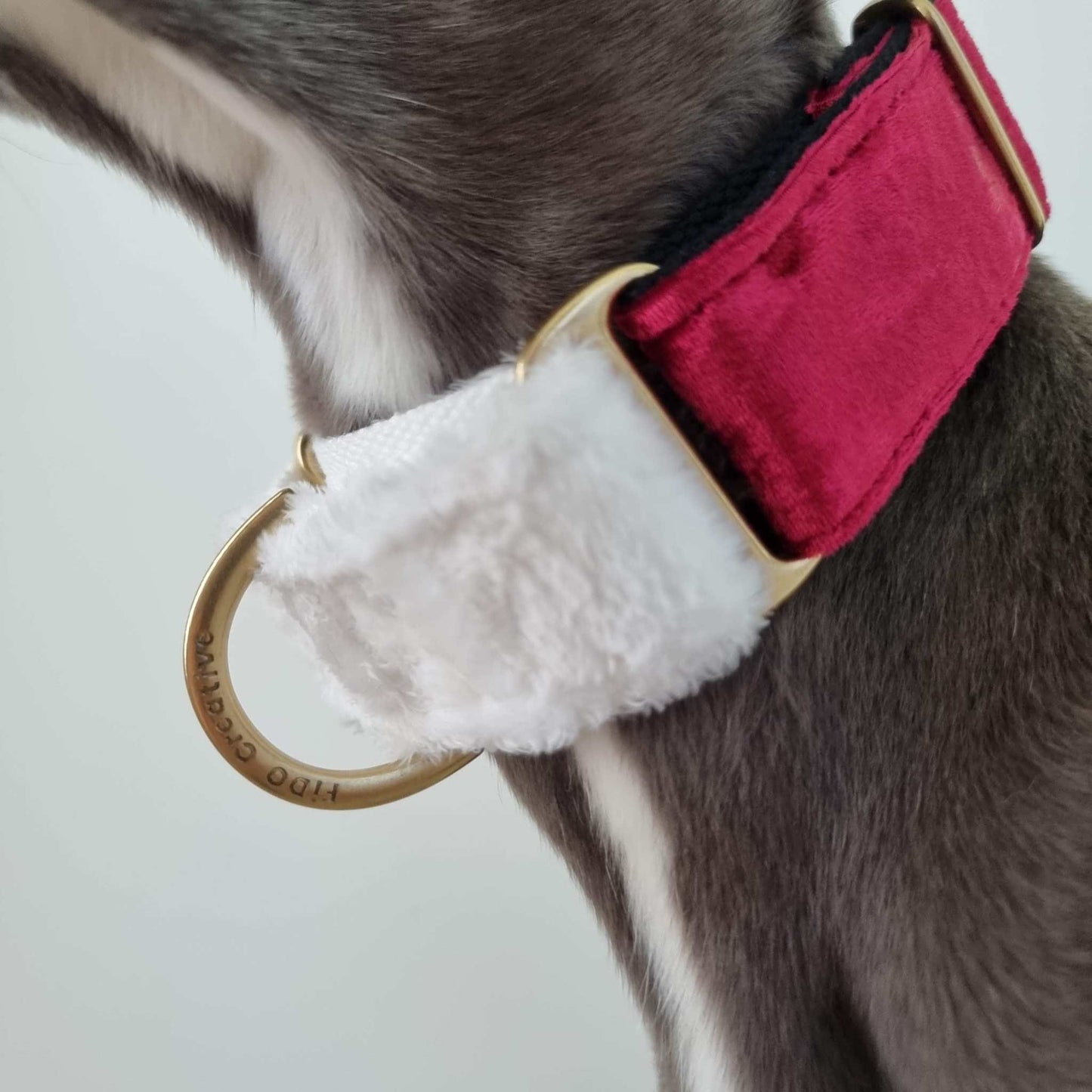 Whippet Christmas collar