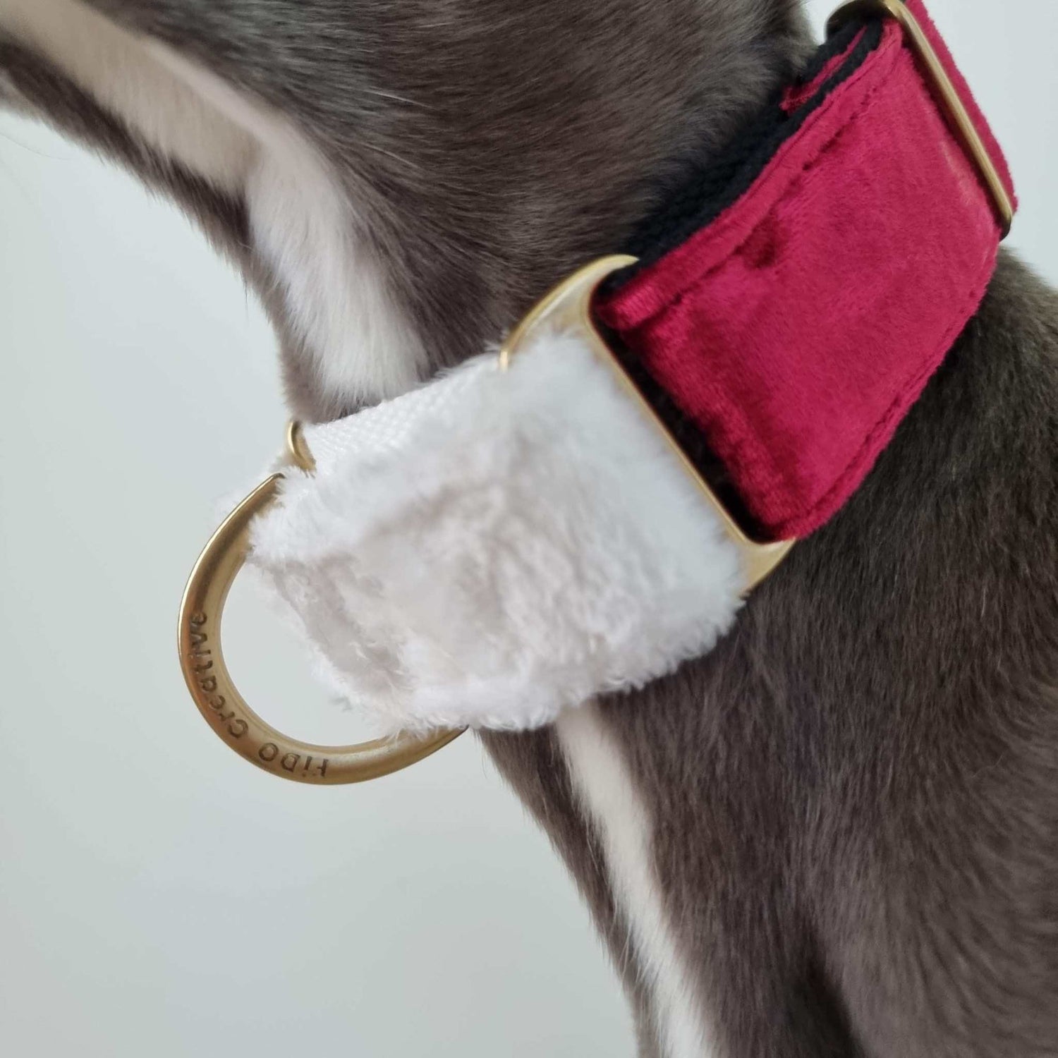 Whippet Christmas collar