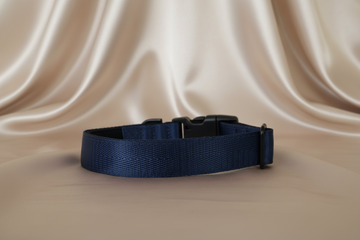 Navy blue dog collar with buckle