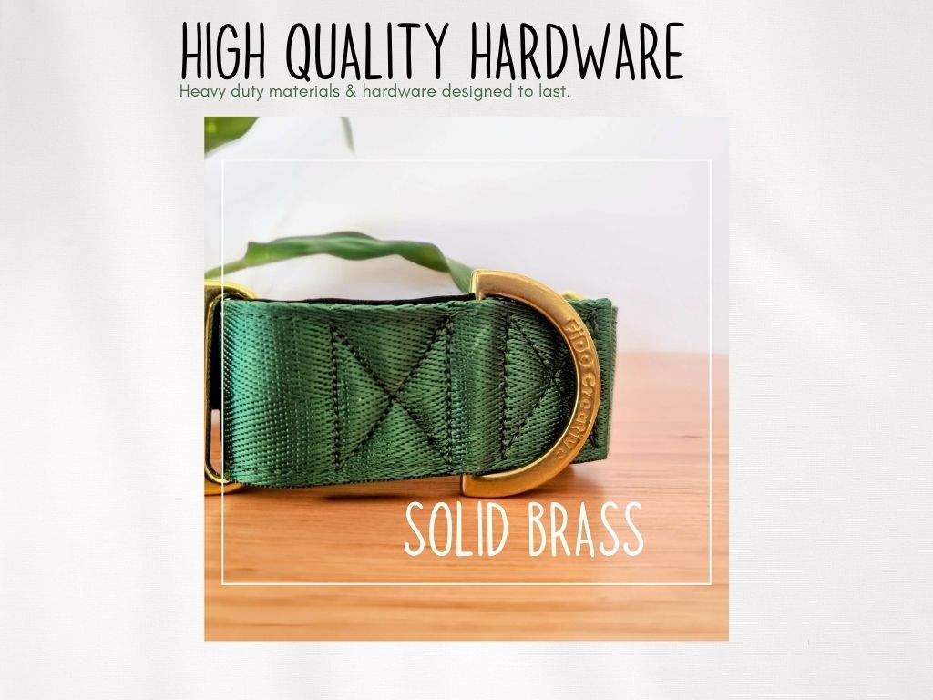 Green martingale collar with solid brass