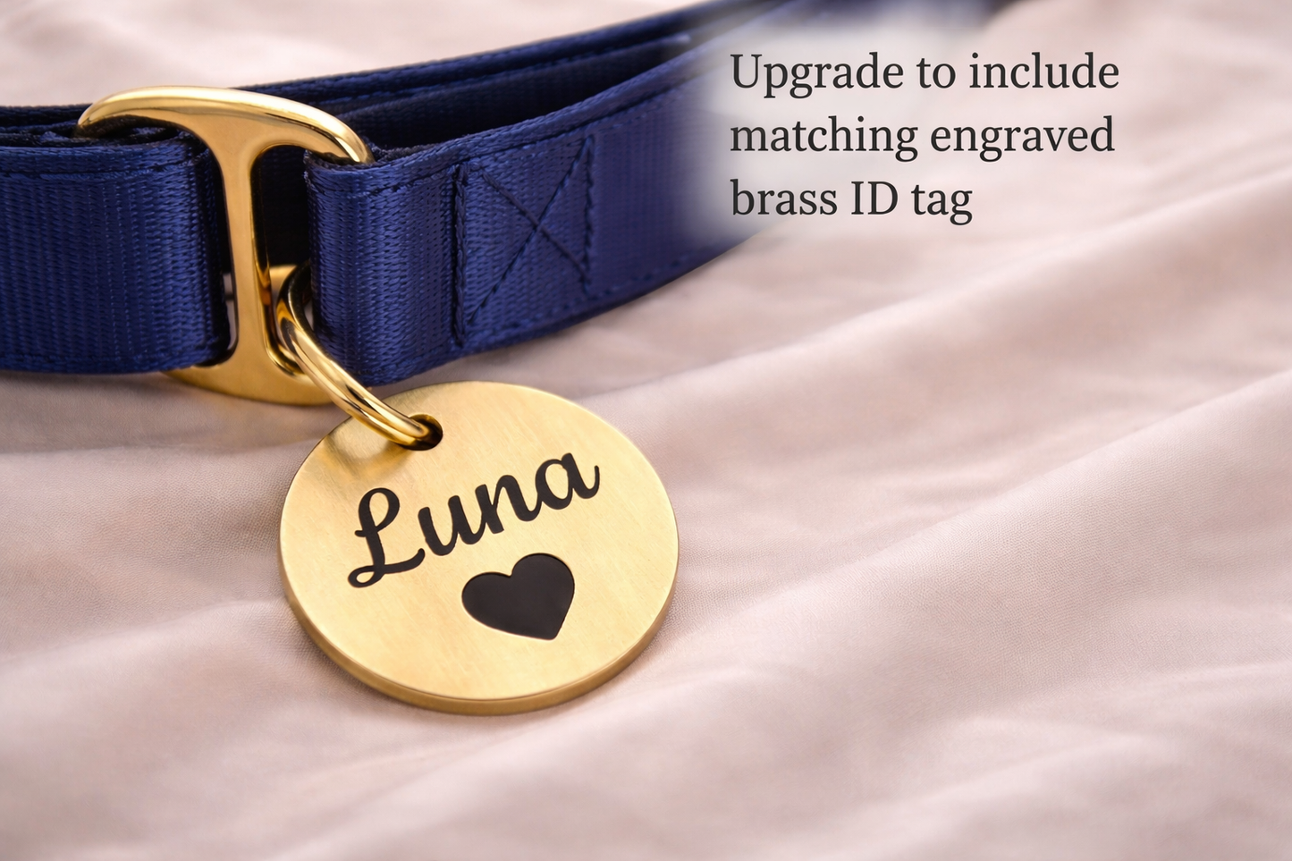 A navy blue dog collar with a personalized name tag attached,