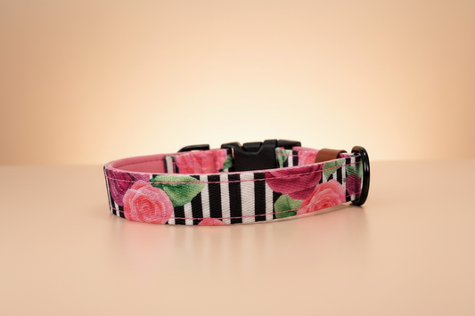 Floral patterned dog collar on a white surface with pink flowers in the background