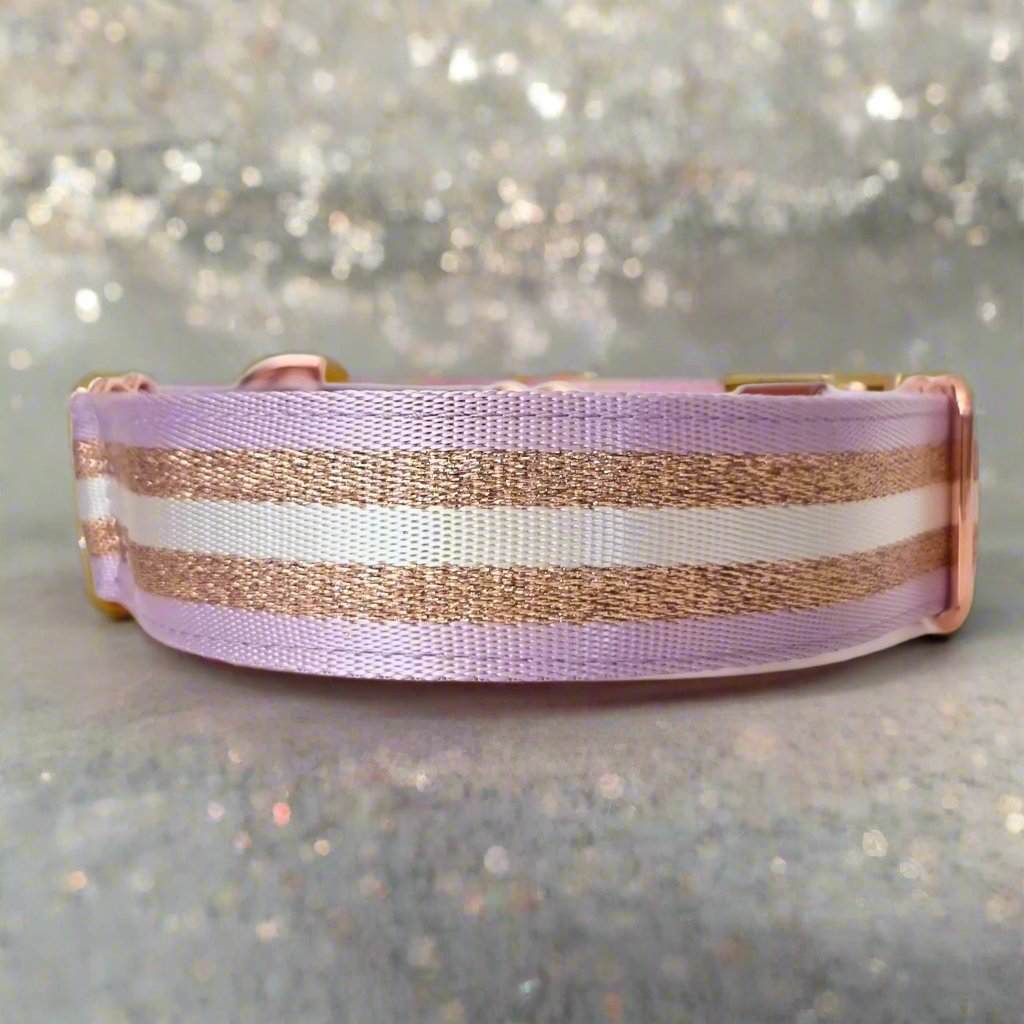 Lilac and rose gold dog collar