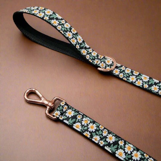 Daisy dog leash