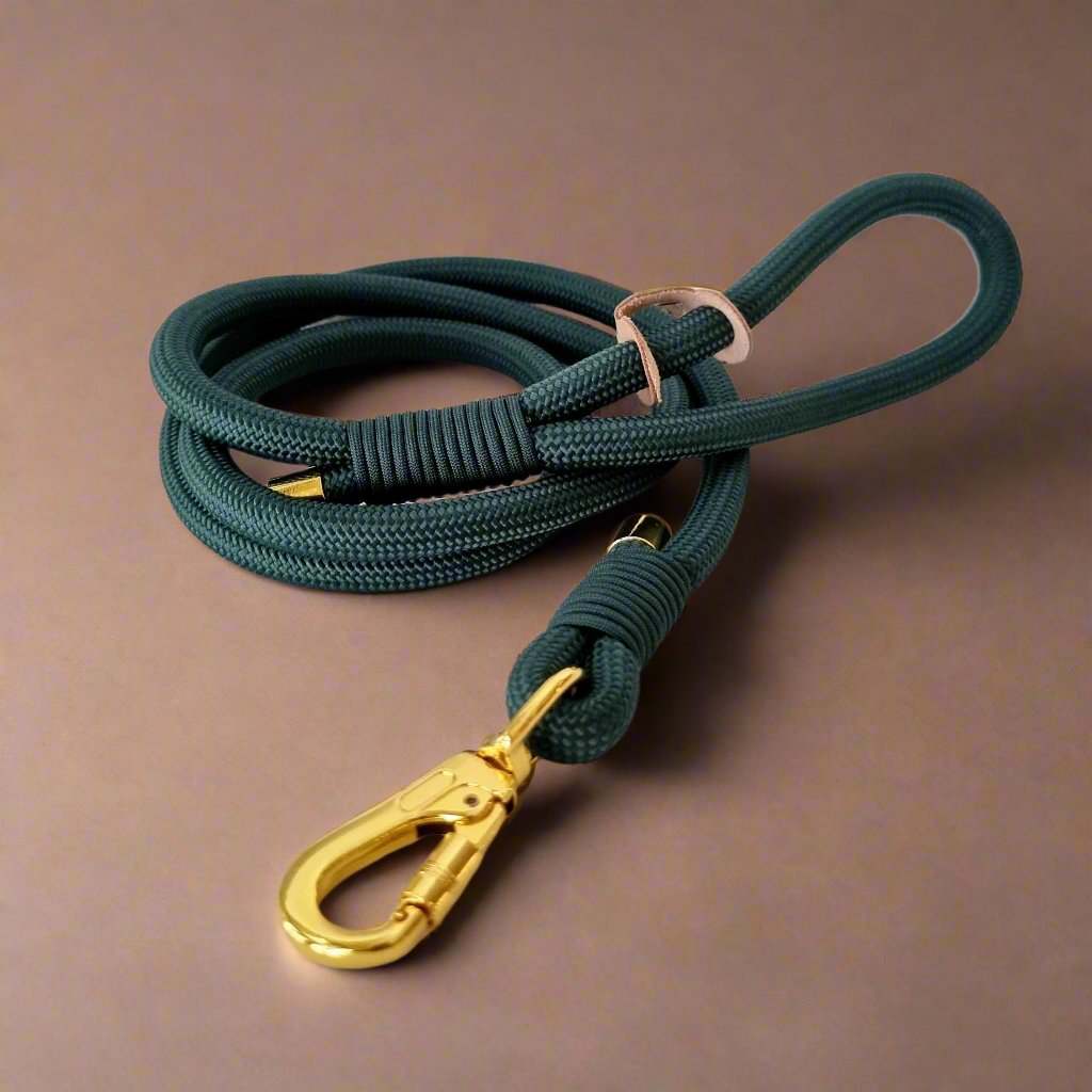 Green and gold rope dog lead