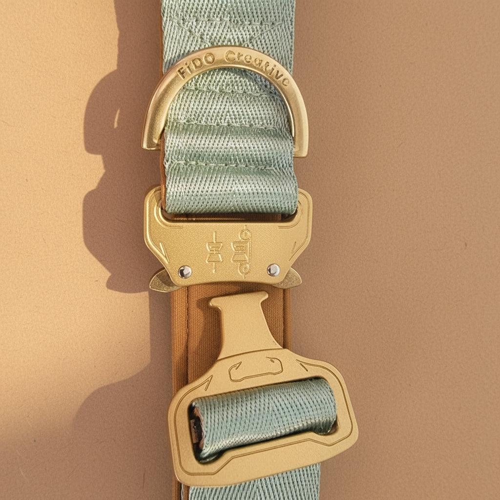 Tactical dog collar with gold buc6