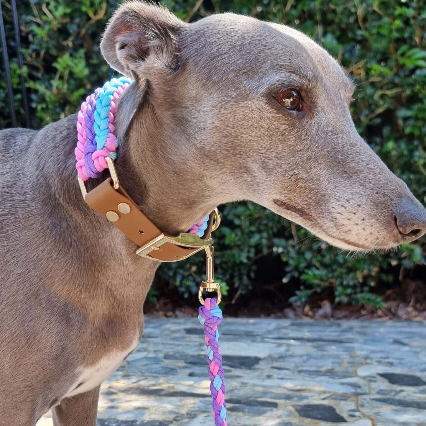 Paracord Dog Leash - Unicorn