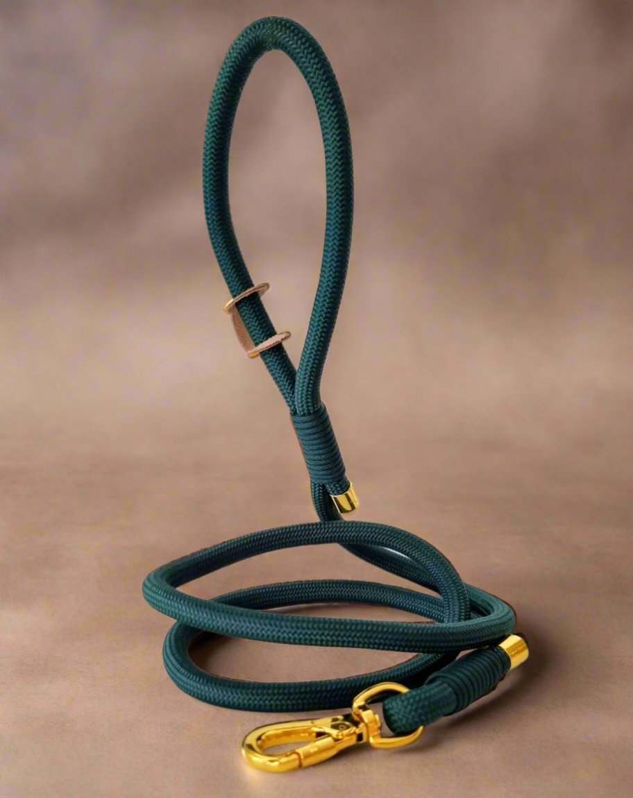 Green rope dog leash 