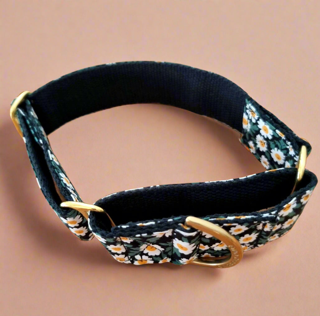 Green daisy martingale collar | Floral | Dog collar | Greyhound collar | Whippet collar | Solid brass | Rose gold | Collar | Girly | Black