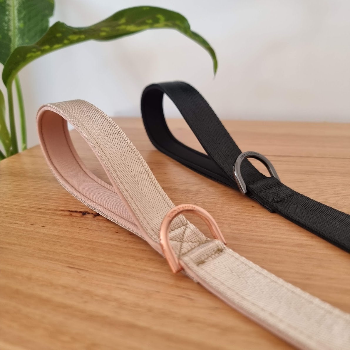 dog leashes with padded handles
