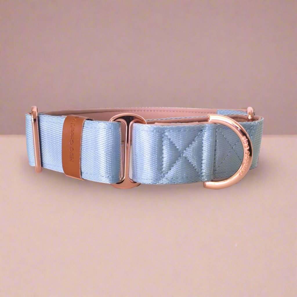 Light blue padded martingale dog collar 