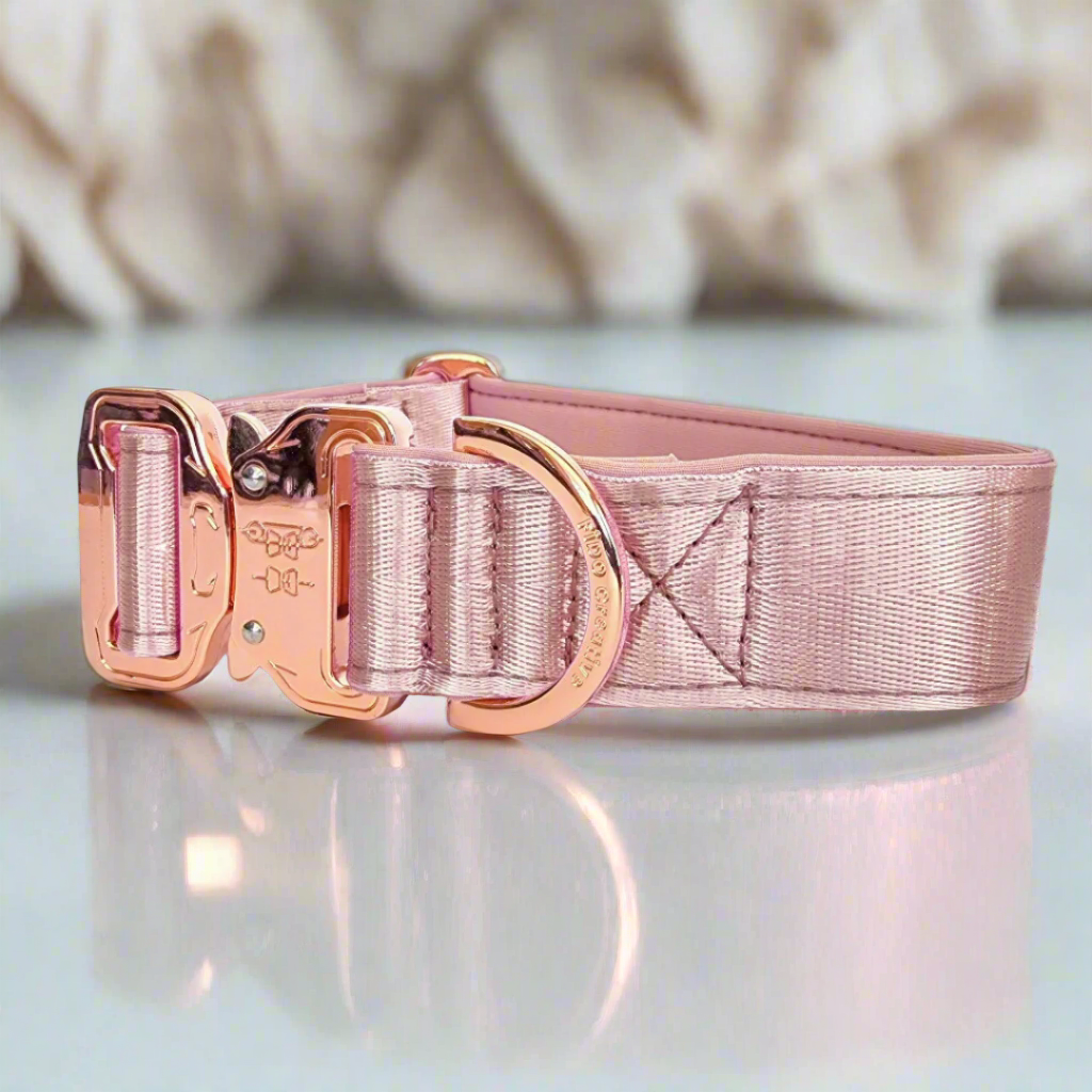 Dusty Pink Dog Collar with Neoprene Padding & Tactical Buckle – Optional personalised Name