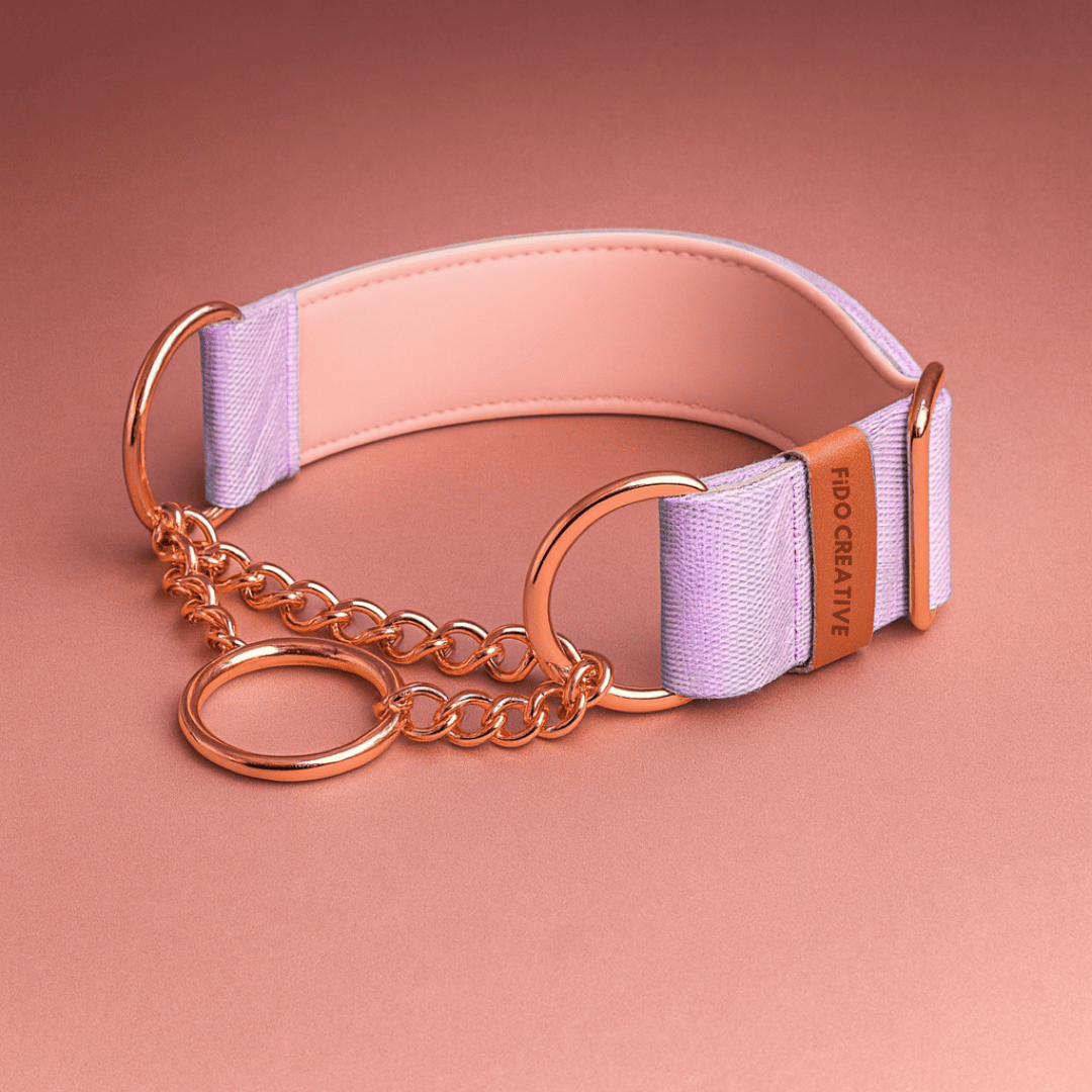 Chain greyhound collar