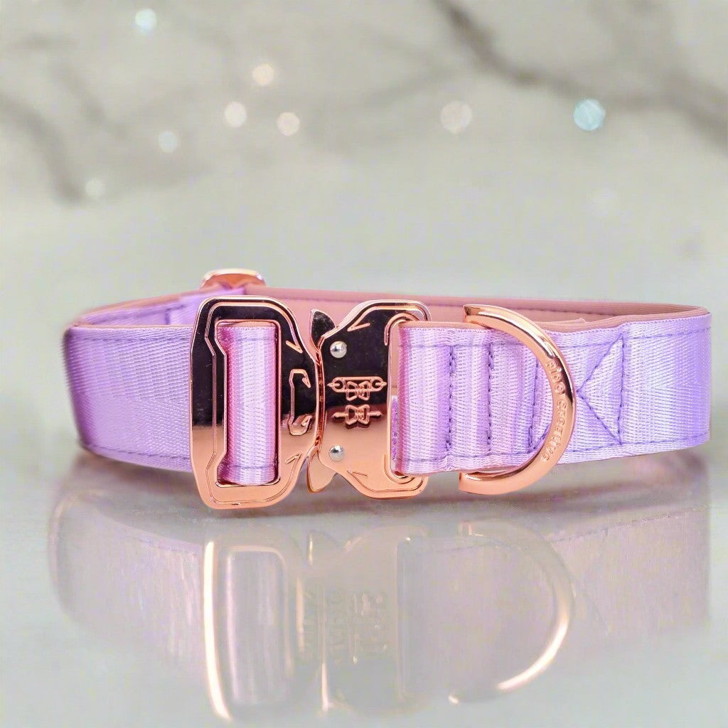 Light purple dog collar