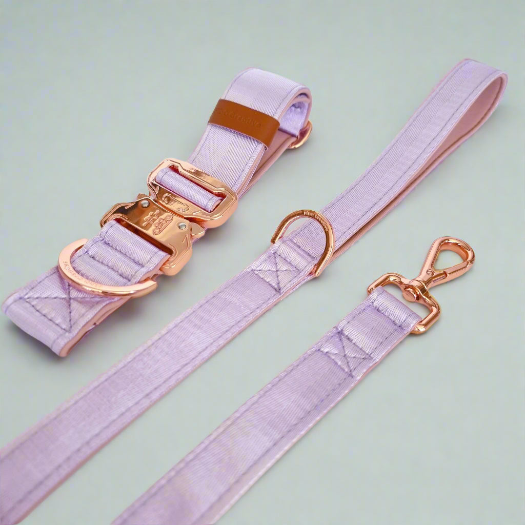 Lilac purple dog collar and leash set